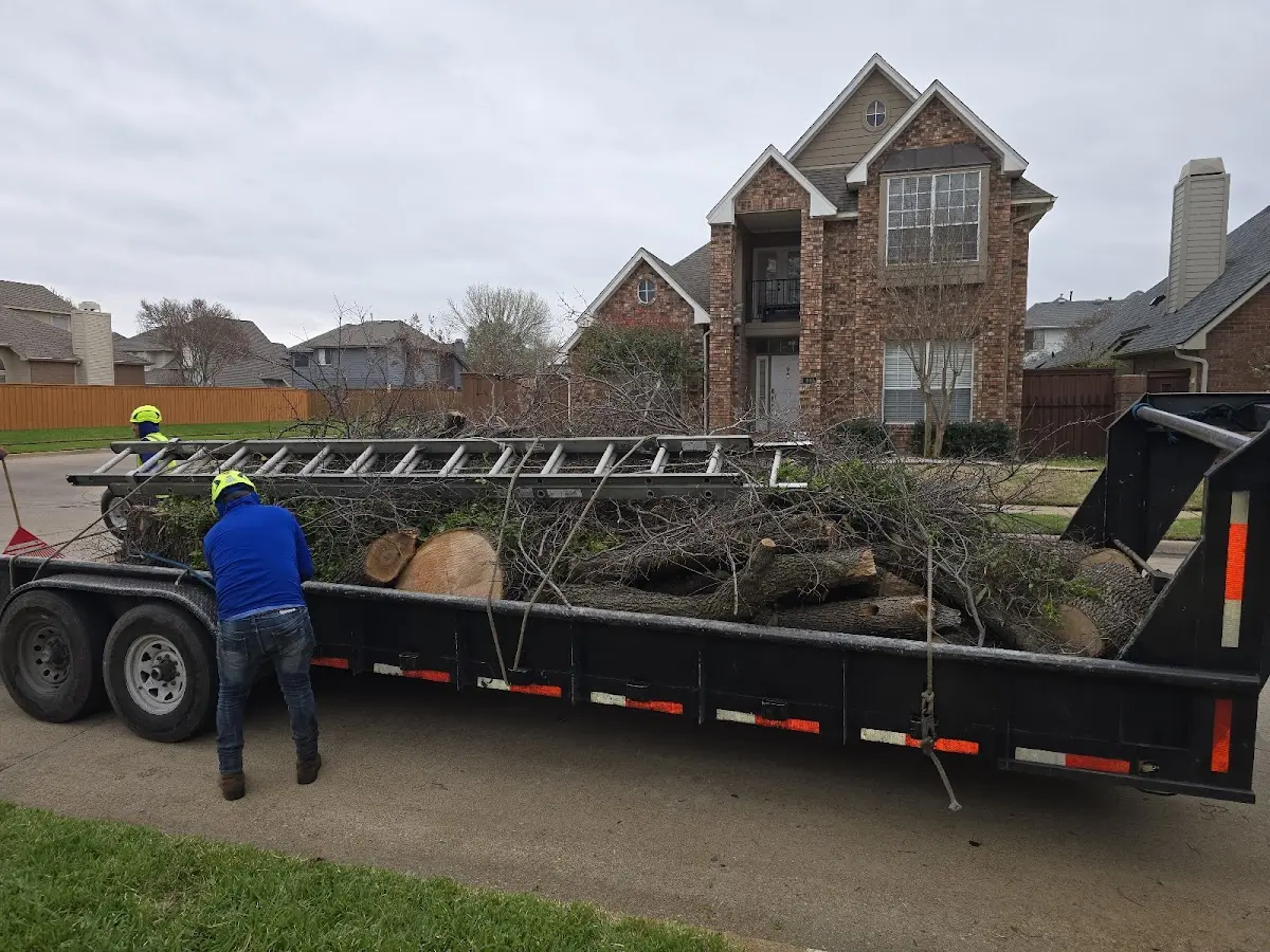 Expert Tree Fertilization with proper safety equipment in Little Meadows